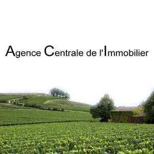 Agence immobiliere Centrale De L'immobilier