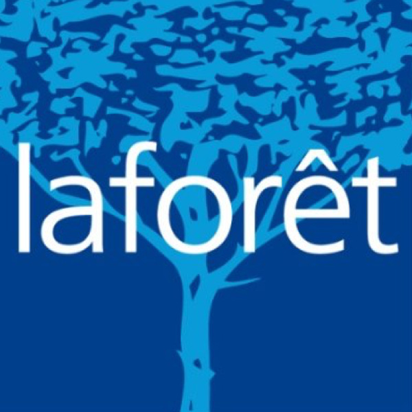 LAFORÊT IMMOBILIER DIJON- MONGE